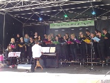 Coloured Voices